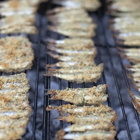 Prestige Fano Marotta