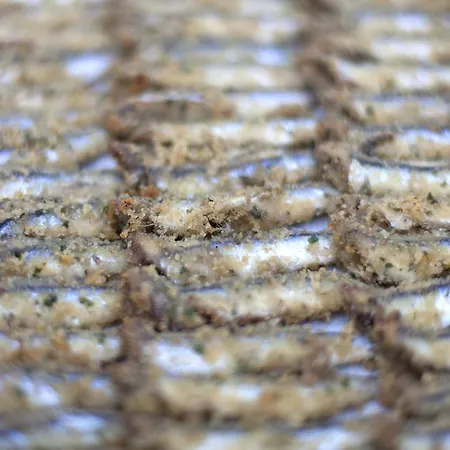 Prestige Fano Marotta