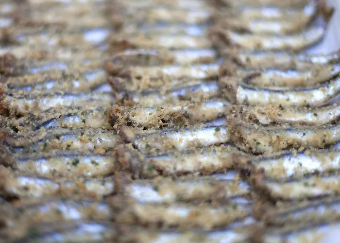 Prestige Fano Marotta